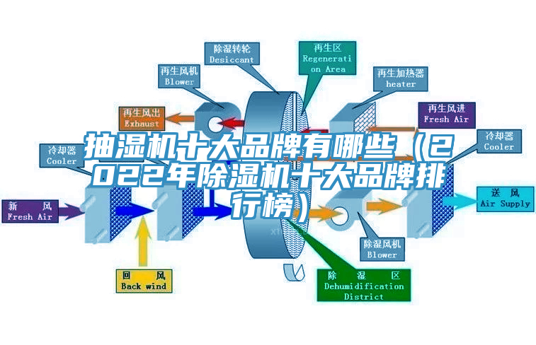 抽濕機十大品牌有哪些（2022年杏仁视频APP成人官方污十大品牌排行榜）