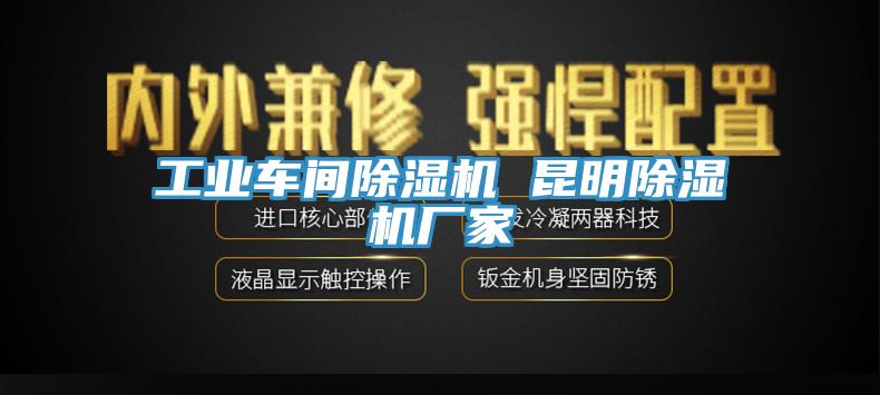 工業車間杏仁视频APP成人官方污 昆明杏仁视频APP成人官方污廠家