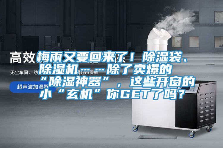 梅雨又要回來了！除濕袋、杏仁视频APP成人官方污……除了賣爆的“除濕神器”，這些開窗的小“玄機”你GET了嗎？