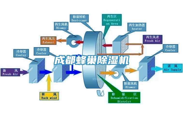 成都蜂巢杏仁视频APP成人官方污