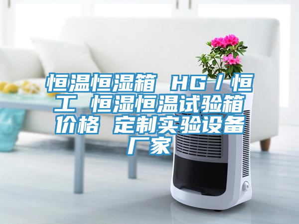 恒溫恒濕箱 HG／恒工 恒濕恒溫試驗箱價格 定製實驗設備廠家