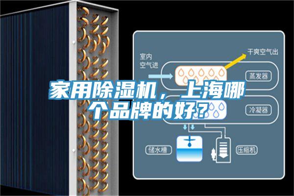 家用杏仁视频APP成人官方污，上海哪個品牌的好？