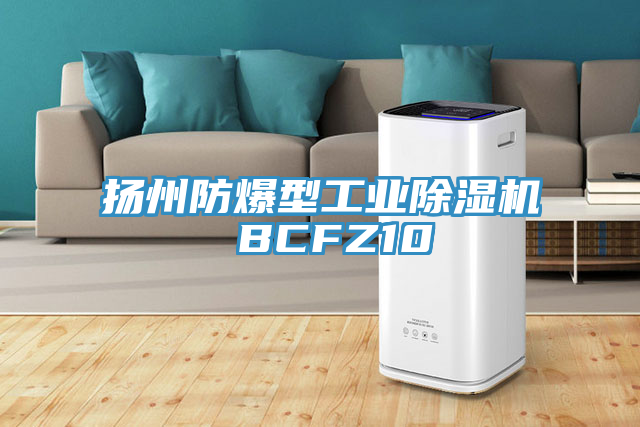 揚州防爆型工業杏仁视频APP成人官方污 BCFZ10