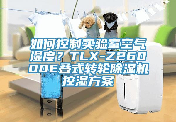 如何控製實驗室空氣濕度？TLX-Z26000E疊式轉輪杏仁视频APP成人官方污控濕方案