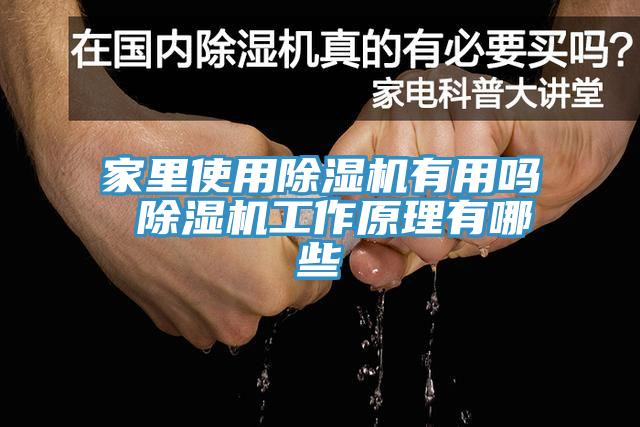 家裏使用杏仁视频APP成人官方污有用嗎 杏仁视频APP成人官方污工作原理有哪些