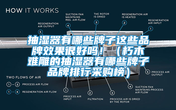 抽濕器有哪些牌子這些品牌效果很好嗎！（朽木難雕的抽濕器有哪些牌子品牌排行采購榜）