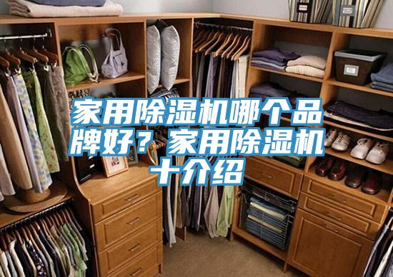 家用杏仁视频APP成人官方污哪個品牌好？家用杏仁视频APP成人官方污十介紹