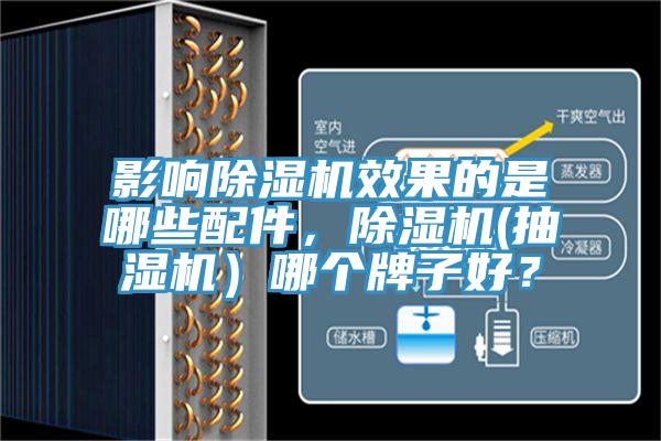 影響杏仁视频APP成人官方污效果的是哪些配件，杏仁视频APP成人官方污(抽濕機）哪個牌子好？