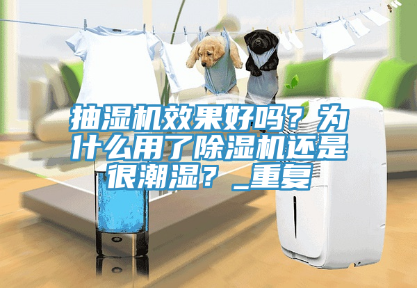 抽濕機效果好嗎？為什麽用了杏仁视频APP成人官方污還是很潮濕？_重複