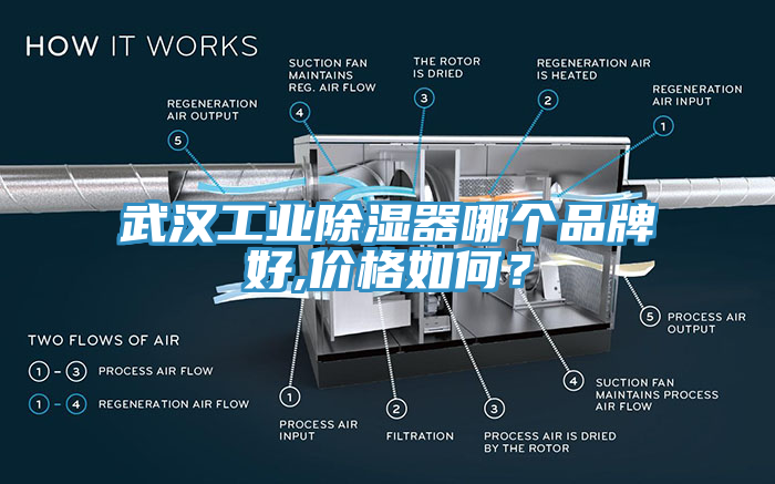 武漢工業除濕器哪個品牌好,價格如何？