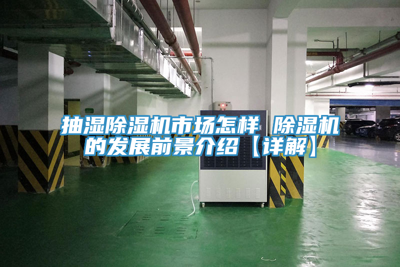 抽濕杏仁视频APP成人官方污市場怎樣 杏仁视频APP成人官方污的發展前景介紹【詳解】