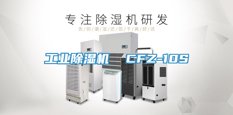 工業杏仁视频APP成人官方污  CFZ-10S