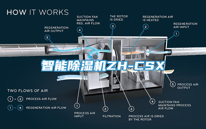 智能杏仁视频APP成人官方污ZH-CSX