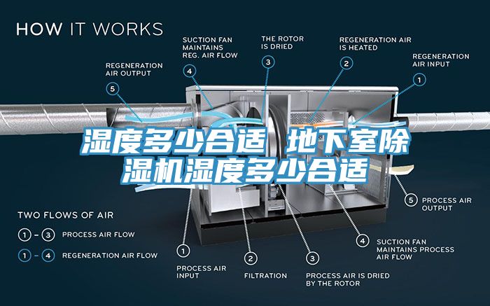 濕度多少合適 地下室杏仁视频APP成人官方污濕度多少合適