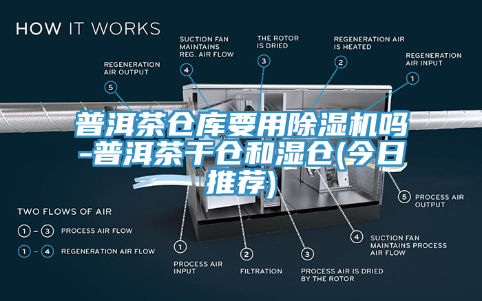 普洱茶倉庫要用杏仁视频APP成人官方污嗎-普洱茶幹倉和濕倉(今日推薦)