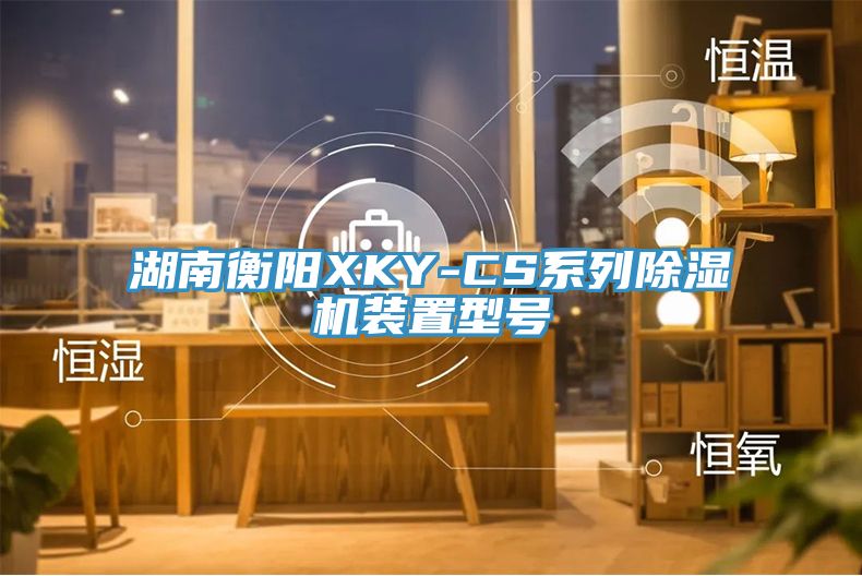 湖南衡陽XKY-CS係列杏仁视频APP成人官方污裝置型號