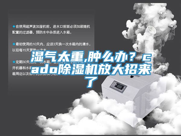 濕氣太重,腫麽辦？cado杏仁视频APP成人官方污放大招來了