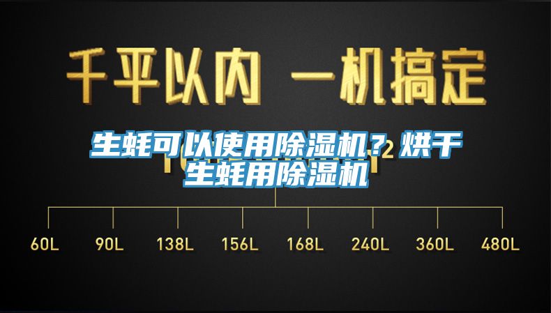 生蠔可以使用杏仁视频APP成人官方污？烘幹生蠔用杏仁视频APP成人官方污