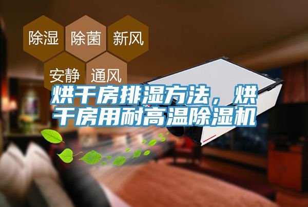 烘幹房排濕方法，烘幹房用耐高溫杏仁视频APP成人官方污