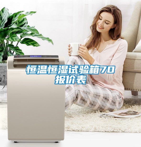 恒溫恒濕試驗箱70℃報價表