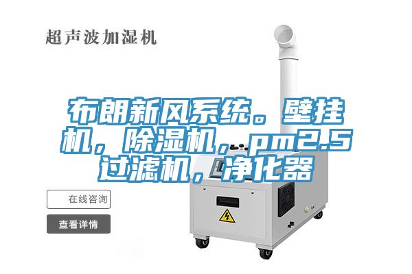 布朗新風係統。壁掛機，杏仁视频APP成人官方污，pm2.5過濾機，淨化器