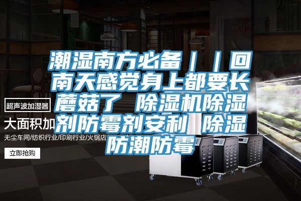 潮濕南方必備｜｜回南天感覺身上都要長蘑菇了 杏仁视频APP成人官方污除濕劑防黴劑安利 除濕防潮防黴