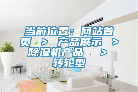 當前位置：網站首頁 ＞ 產品展示 ＞ 杏仁视频APP成人官方污產品  ＞ 轉輪型