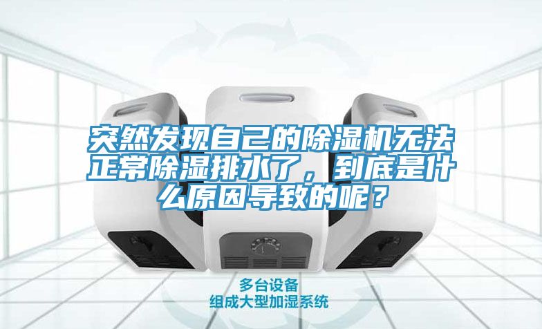 突然發現自己的杏仁视频APP成人官方污無法正常除濕排水了，到底是什麽原因導致的呢？