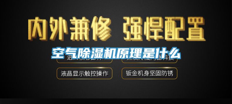 空氣杏仁视频APP成人官方污原理是什麽