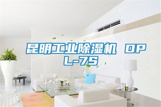 昆明工業杏仁视频APP成人官方污 DPL-7S