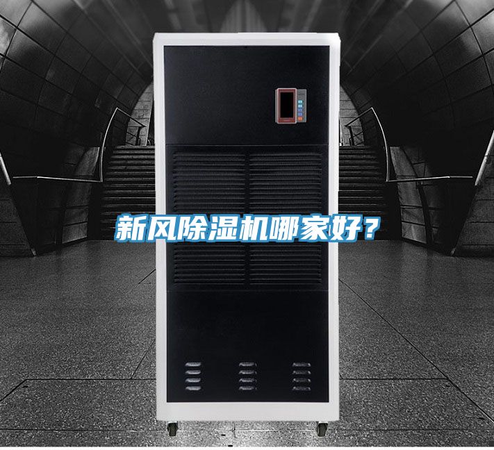 新風杏仁视频APP成人官方污哪家好？