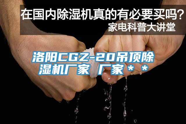 洛陽CGZ-20吊頂杏仁视频APP成人官方污廠家 廠家＊＊