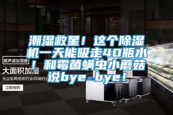 潮濕救星！這個杏仁视频APP成人官方污一天能吸走40瓶水！和黴菌蟎蟲小蘑菇說bye bye！