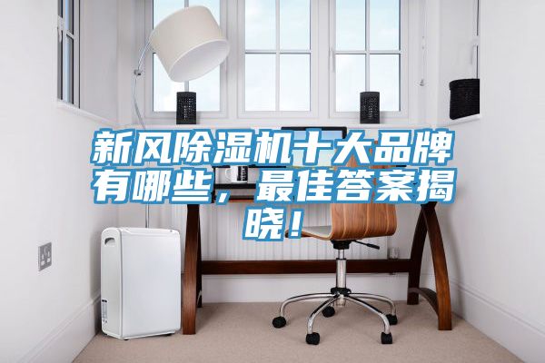 新風杏仁视频APP成人官方污十大品牌有哪些，最佳答案揭曉！