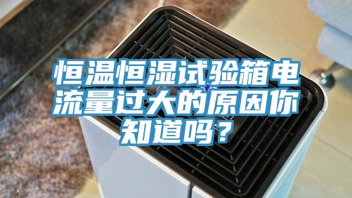 恒溫恒濕試驗箱電流量過大的原因你知道嗎？