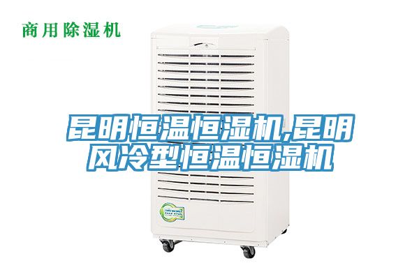 昆明恒溫恒濕機,昆明風冷型恒溫恒濕機