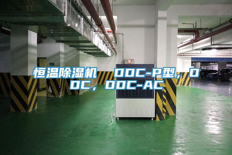 恒溫杏仁视频APP成人官方污  DDC-P型，DDC，DDC-AC