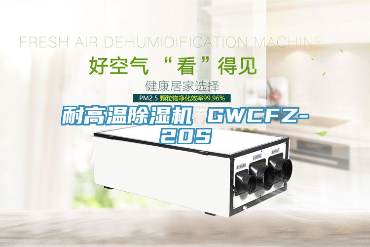 耐高溫杏仁视频APP成人官方污 GWCFZ-20S