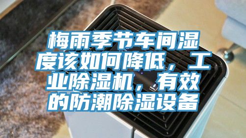 梅雨季節車間濕度該如何降低，工業杏仁视频APP成人官方污，有效的防潮除濕設備