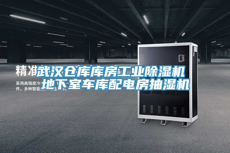 武漢倉庫庫房工業杏仁视频APP成人官方污 地下室車庫配電房抽濕機