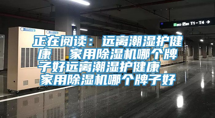 正在閱讀：遠離潮濕護健康  家用杏仁视频APP成人官方污哪個牌子好遠離潮濕護健康  家用杏仁视频APP成人官方污哪個牌子好