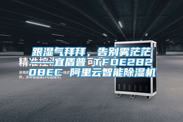 跟濕氣拜拜，告別霧茫茫——宜盾普 TFDE2B20BEC 阿裏雲智能杏仁视频APP成人官方污