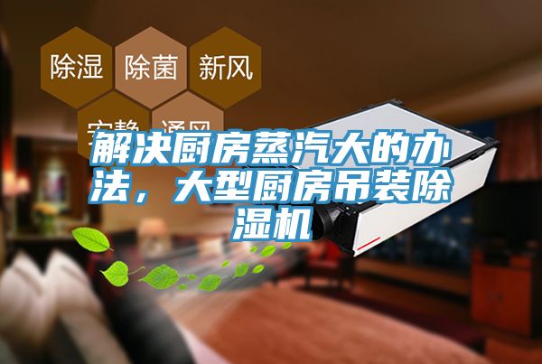 解決廚房蒸汽大的辦法，大型廚房吊裝杏仁视频APP成人官方污