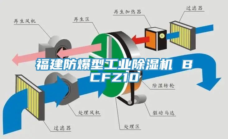 福建防爆型工業杏仁视频APP成人官方污 BCFZ10