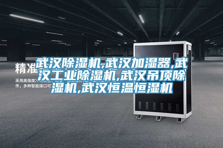 武漢杏仁视频APP成人官方污,武漢加濕器,武漢工業杏仁视频APP成人官方污,武漢吊頂杏仁视频APP成人官方污,武漢恒溫恒濕機