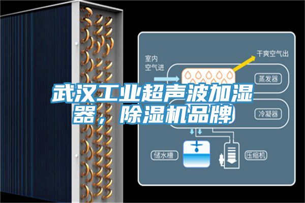 武漢工業超聲波加濕器，杏仁视频APP成人官方污品牌