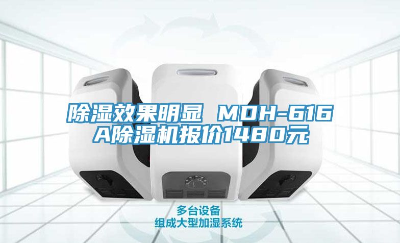 除濕效果明顯 MDH-616A杏仁视频APP成人官方污報價1480元