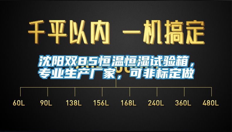 沈陽雙85恒溫恒濕試驗箱，專業生產廠家，可非標定做