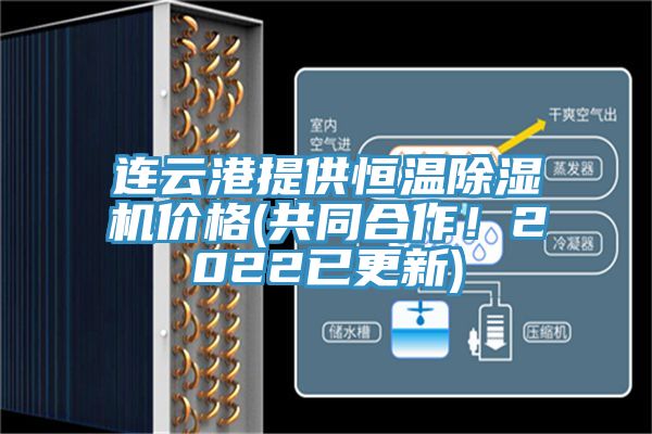 連雲港提供恒溫杏仁视频APP成人官方污價格(共同合作！2022已更新)