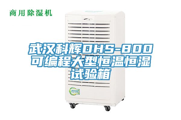 武漢科輝DHS-800可編程大型恒溫恒濕試驗箱